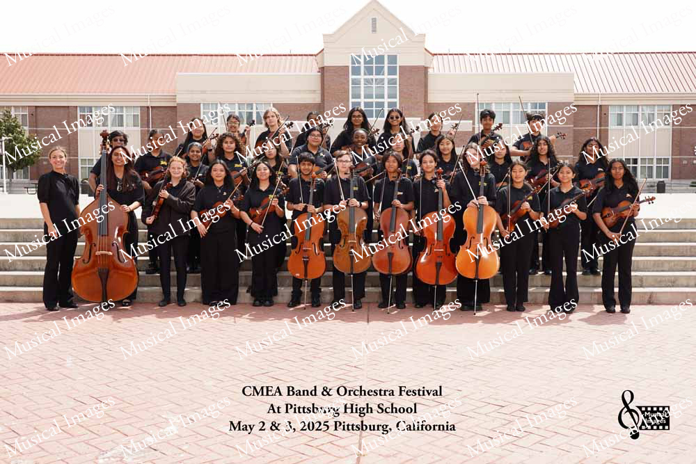 Musical Images
